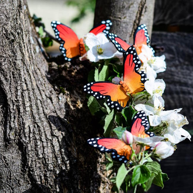 Bumbu Toys | Butterfly at Milk Tooth Australia