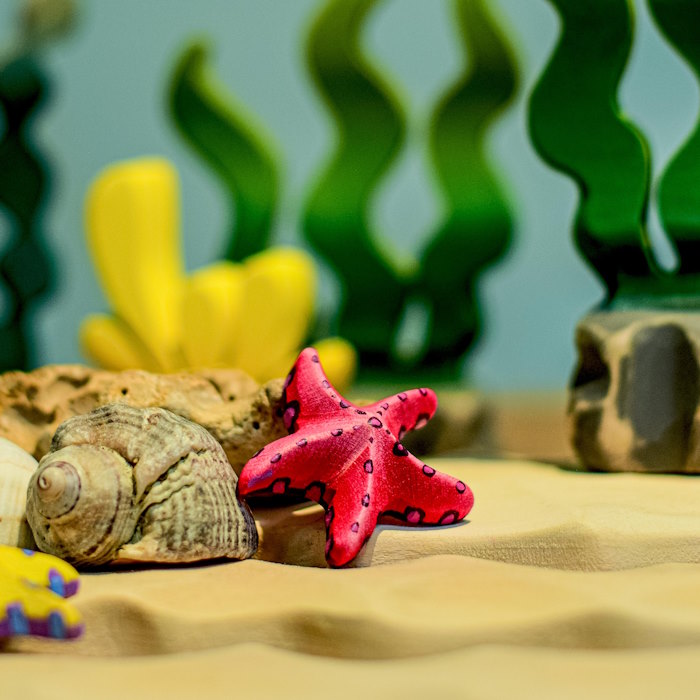 Bumbu Toys | Sugar Kelp Seaweed at Milk Tooth Australia