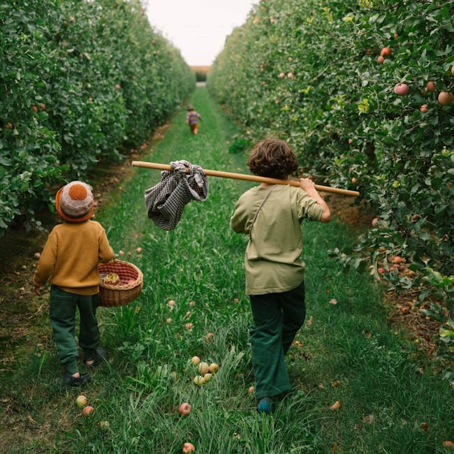 Grapat | Fruits at Milk Tooth Australia
