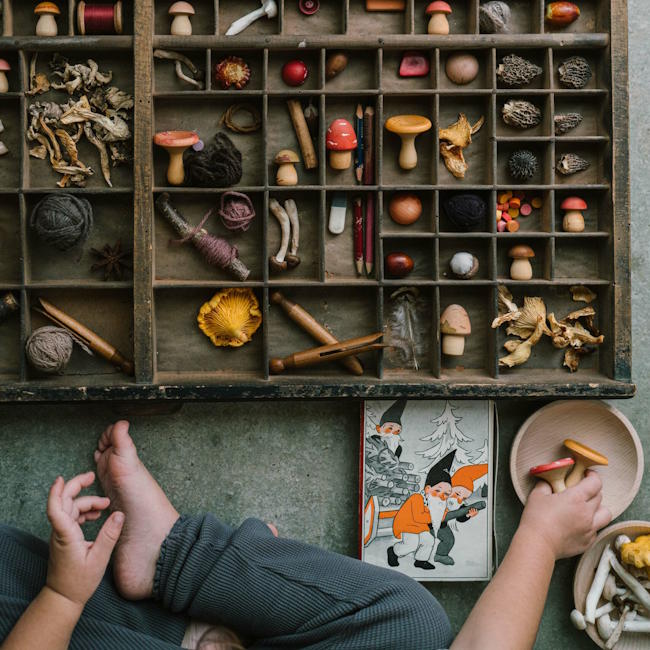 Grapat | Mushroom Grove at Milk Tooth Australia