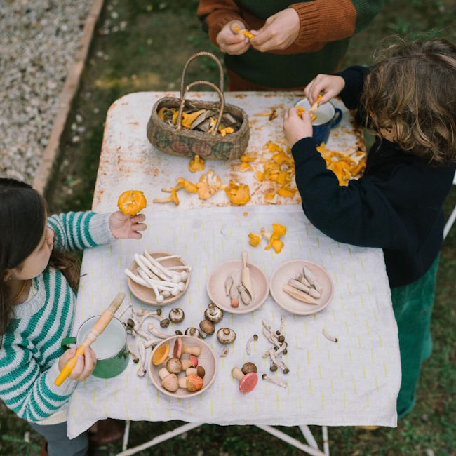 Grapat | Mushroom Grove at Milk Tooth Australia