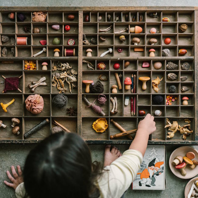 Grapat | Mushroom Grove at Milk Tooth Australia