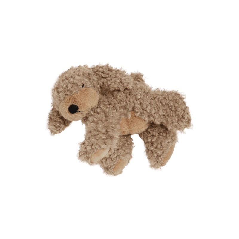 Olli Ella | Dinkum Puppy Benny at Milk Tooth Australia