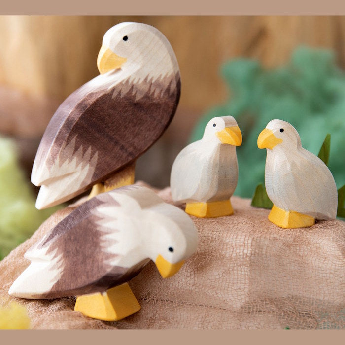 Ostheimer Bald Eagles family