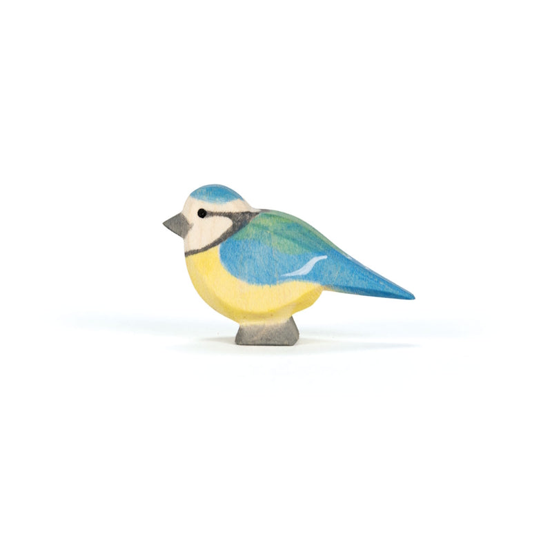 Ostheimer | Birds | Blue Tit