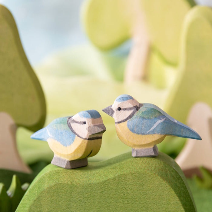 Ostheimer | Birds | Blue Tit