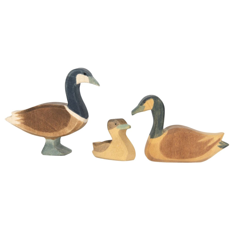 Ostheimer Canada Geese family