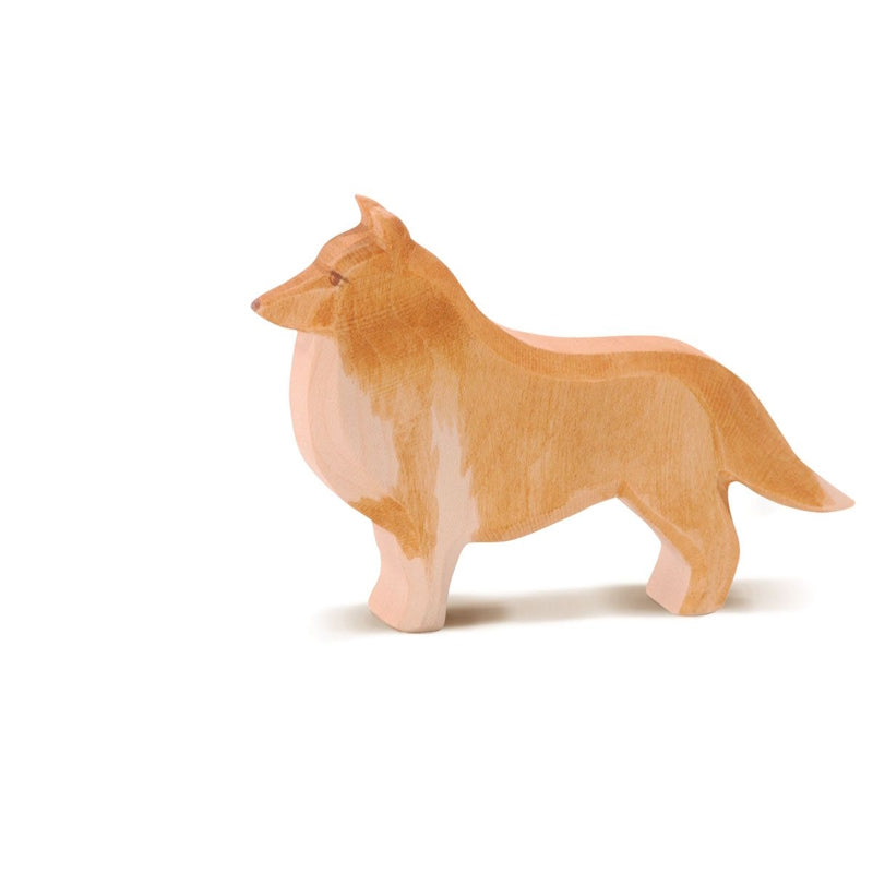 Ostheimer | Collie Dog at Milk Tooth