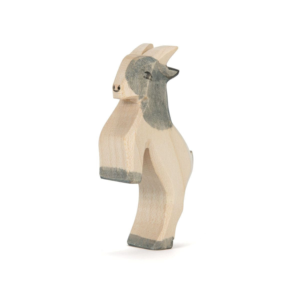 Ostheimer | Goat Small Jumping at Milk Tooth