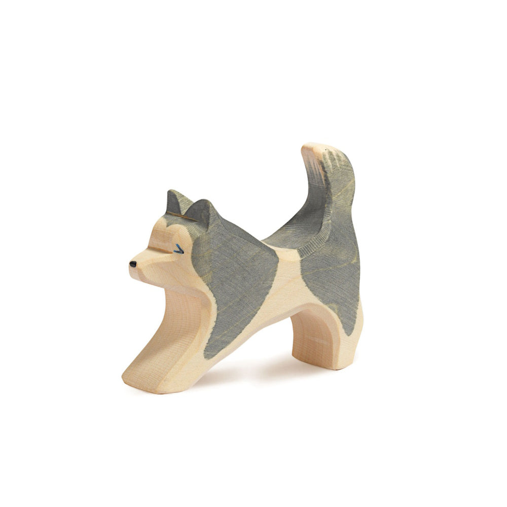 Ostheimer | Sled Dog Running at Milk Tooth