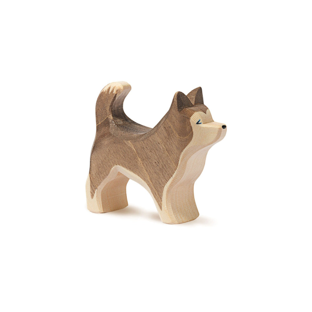 Ostheimer | Sled Dog Standing at Milk Tooth