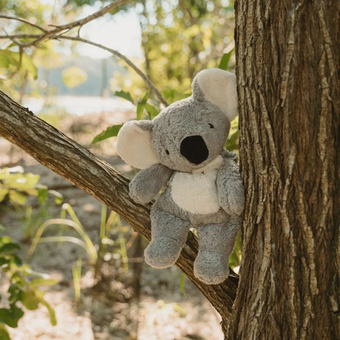 Senger | Cuddly Animal Koala AUSTRALIAN EXCLUSIVE w/ removable heat/cool pack