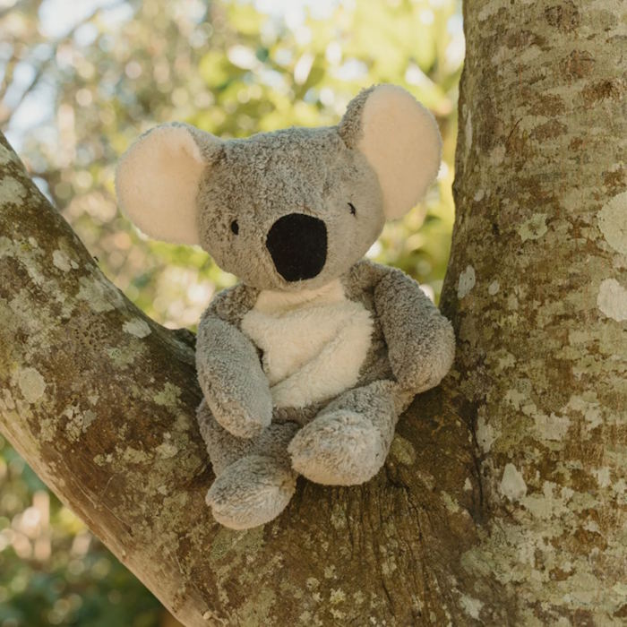 Senger | Cuddly Animal Koala AUSTRALIAN EXCLUSIVE w/ removable heat/cool pack