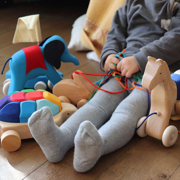 Grimm's | Rainbow Turtle Pull Along at Milk Tooth