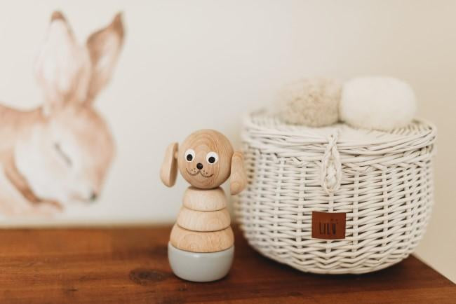Lilu | Wicker Basket | Small | White with Miva Vacov Bella the Dog