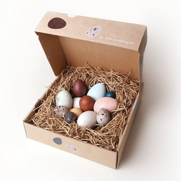 Moon Picnic | A Dozen Bird Eggs in a Box