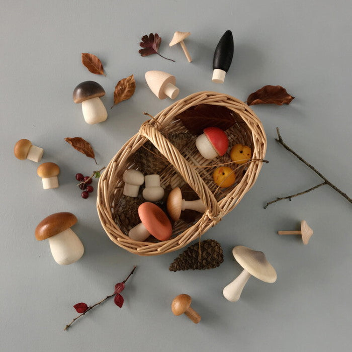 Moon Picnic | Forest Mushrooms Basket