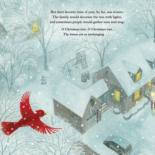 Red & Lulu | Paperback Book at Milk Tooth