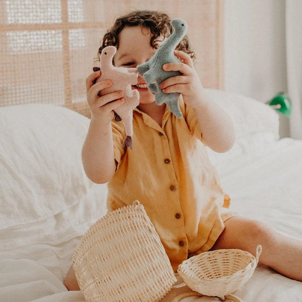 Olli Ella | Holdie Dinosaurs wool felt toys
