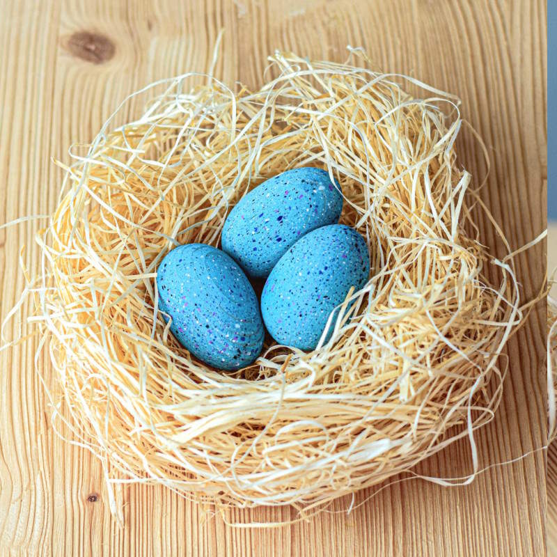 Bumbu Toys | Brontosaurus Eggs Set of 3 at Milk Tooth