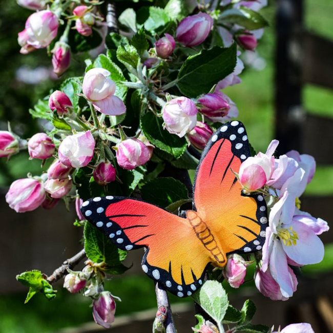 Bumbu Toys | Butterfly at Milk Tooth Australia