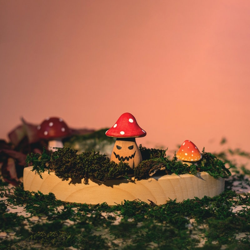 Bumbu Toys | Celebration Ring Ornament | Enchanted Mushroom