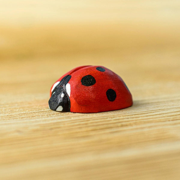 Bumbu Toys | Ladybug at Milk Tooth