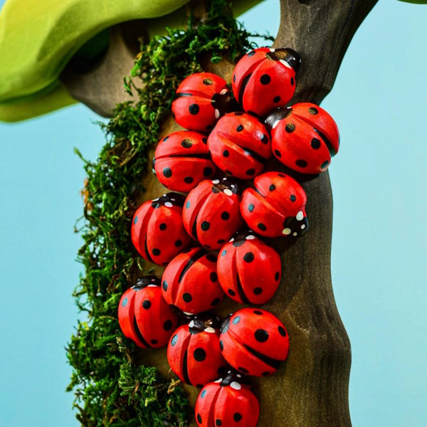 Bumbu Toys | Ladybug at Milk Tooth