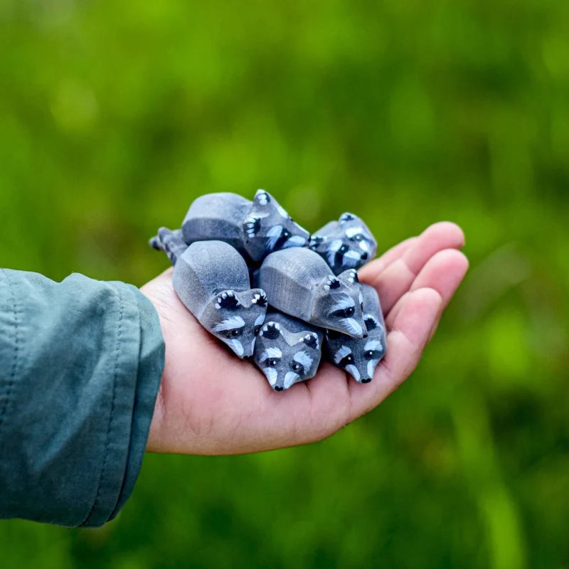 Bumbu Toys | Raccoon Cub at Milk Tooth Australia