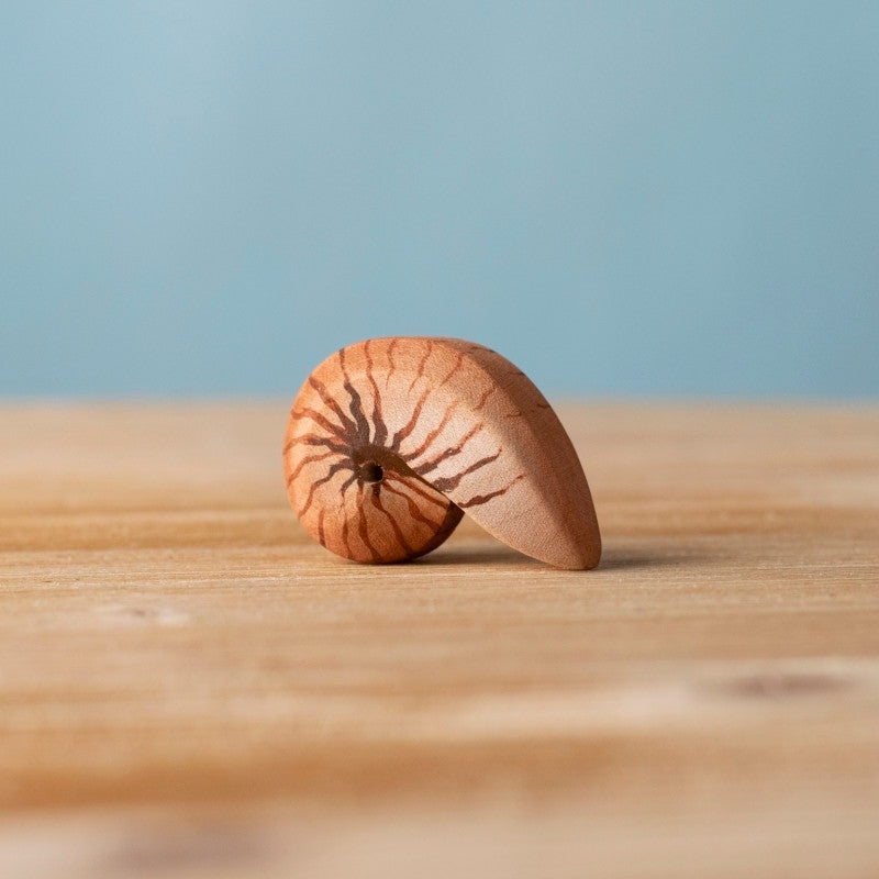 Bumbu Toys Spiral Shell wooden toy at Milk Tooth Australia
