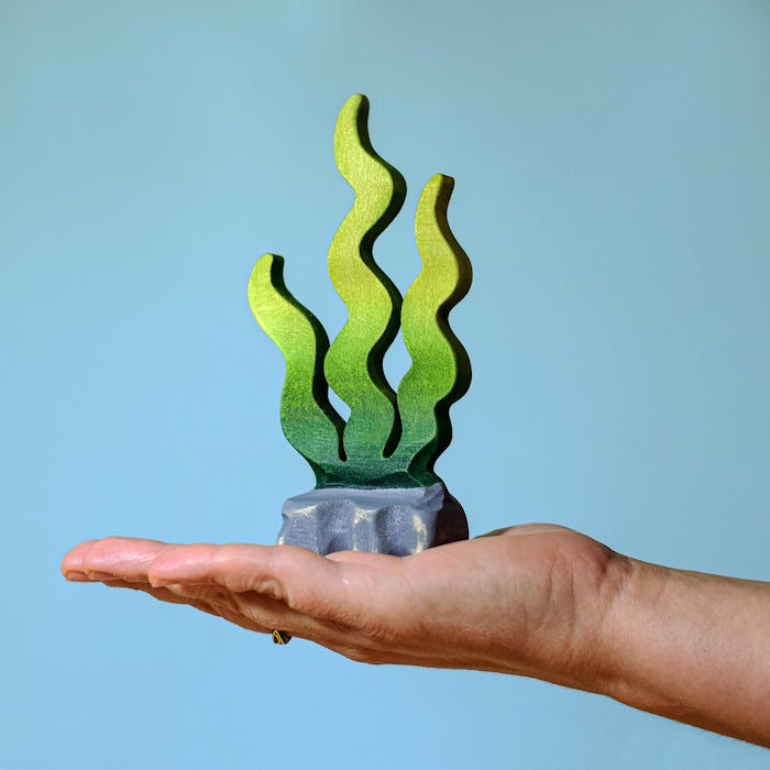 Bumbu Toys | Sugar Kelp Seaweed at Milk Tooth Australia