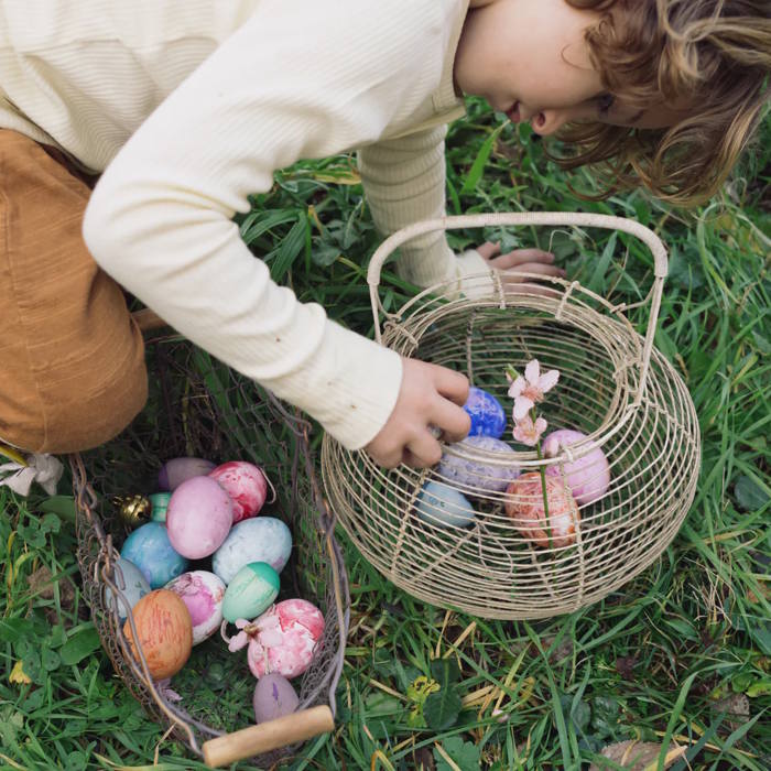 Grapat | Aurora Eggs at Milk Tooth Australia