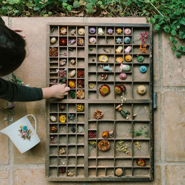 Grapat | Flower Meadow at Milk Tooth Australia