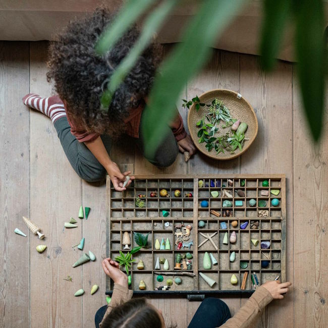 Grapat | Forest Tree at Milk Tooth Australia