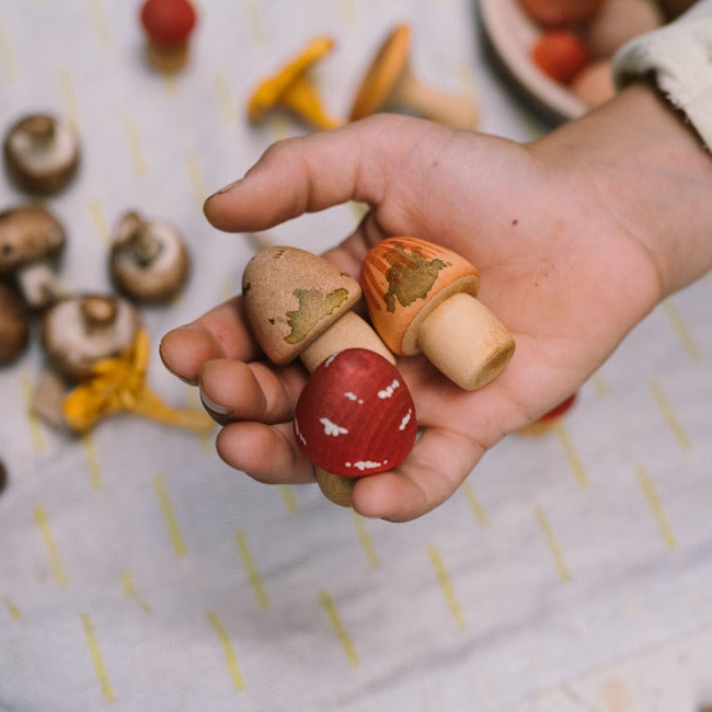 Grapat | Mushroom Grove at Milk Tooth Australia