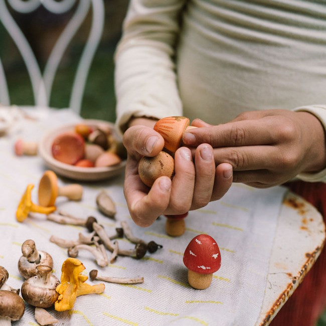 Grapat | Mushroom Grove at Milk Tooth Australia