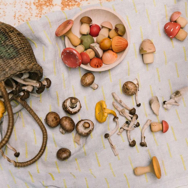 Grapat | Mushroom Grove at Milk Tooth Australia
