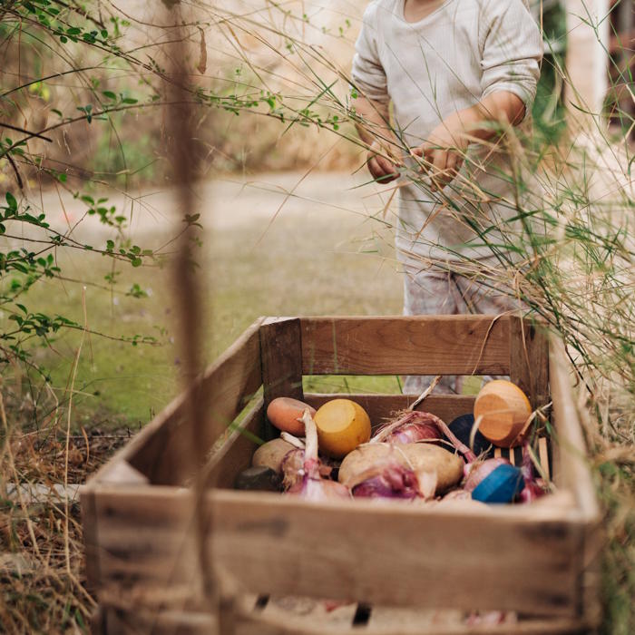 Grapat | Serendipity at Milk Tooth Australia