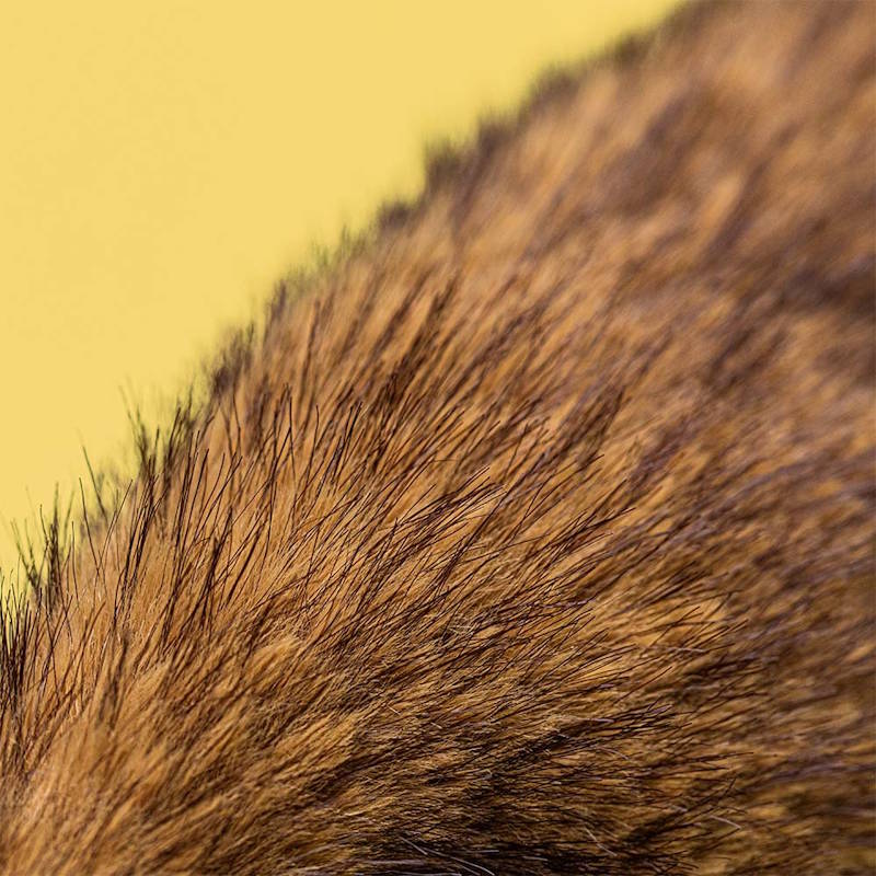 Jellycat | Bashful Luxe Bunny Hoppleston Medium