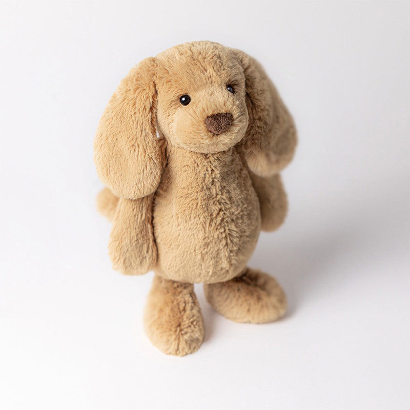 JELLYCAT Bashful Toffee Puppy Small 犬 いぬ