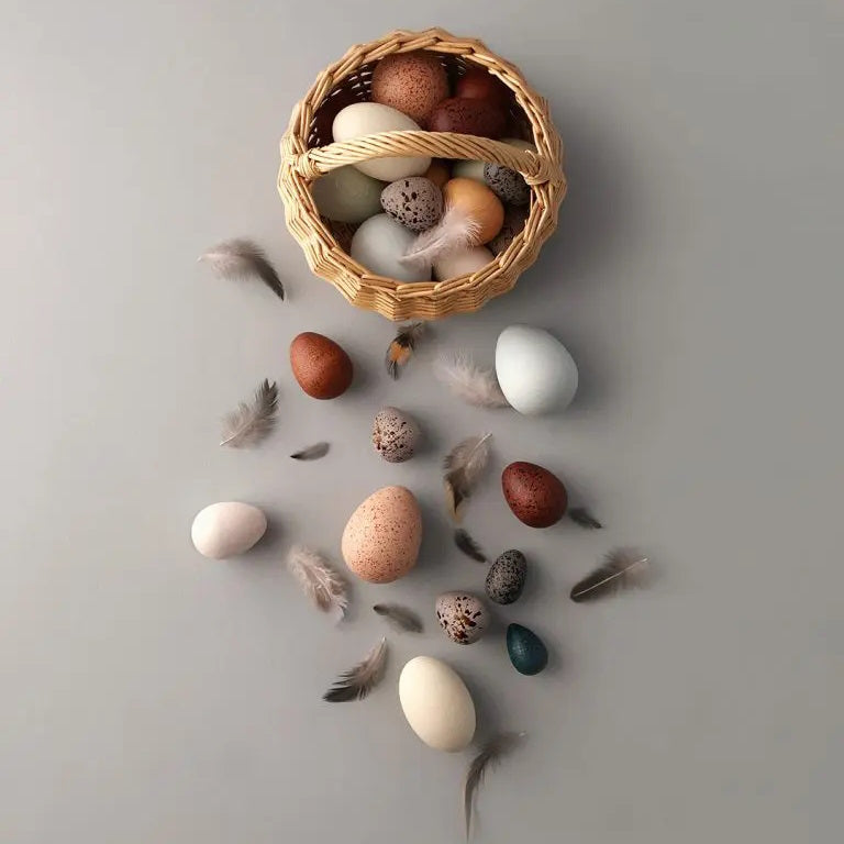 Moon Picnic | A Dozen Bird Eggs in a Basket at Milk Tooth