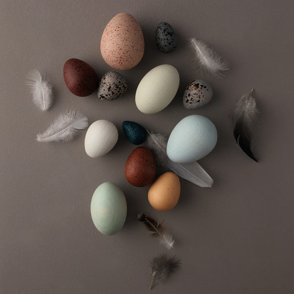 Moon Picnic | A Dozen Bird Eggs in a Box