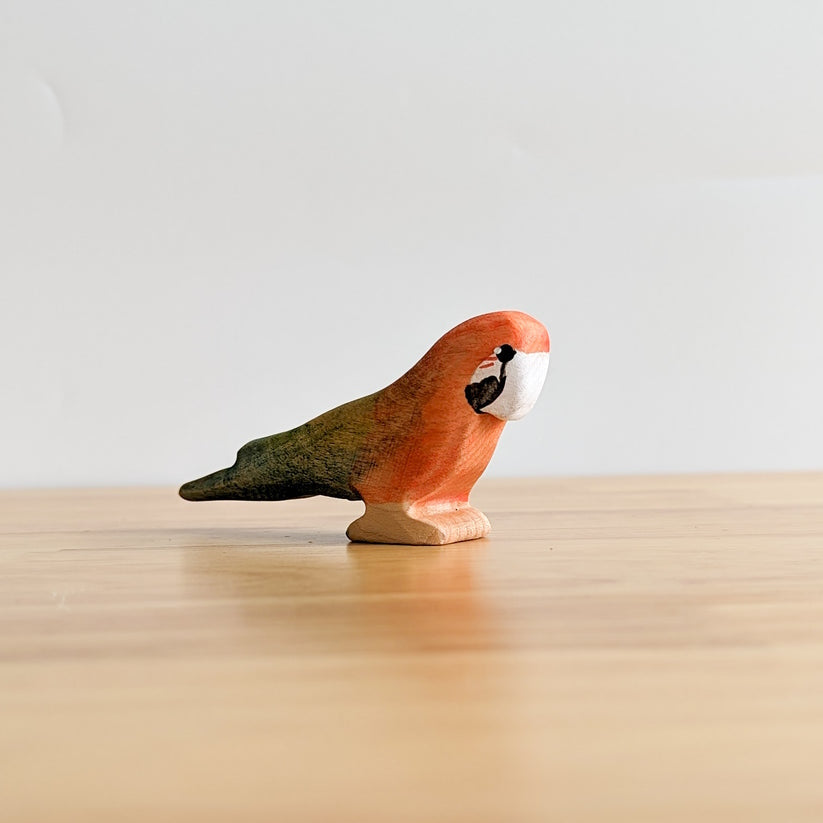 NOM Handcrafted | Macaw at Milk Tooth