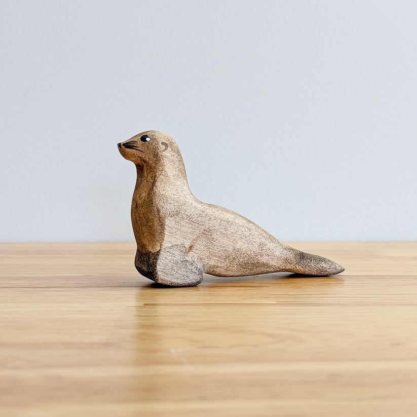 NOM Handcrafted | Sea Lion at Milk Tooth