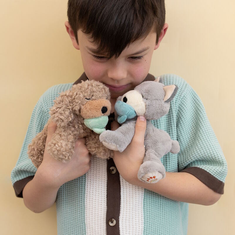 Olli Ella | Dinkum Puppy Banjo at Milk Tooth Australia