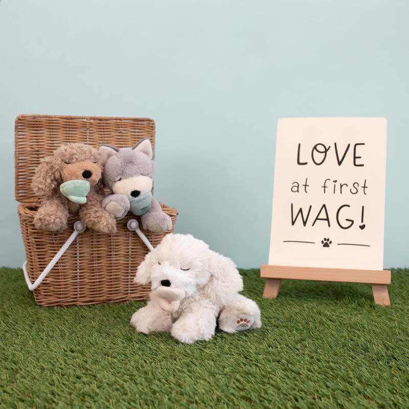 Olli Ella | Dinkum Puppy Belle at Milk Tooth Australia