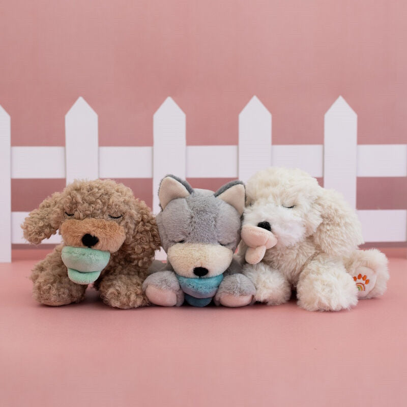 Olli Ella | Dinkum Puppy Banjo at Milk Tooth Australia