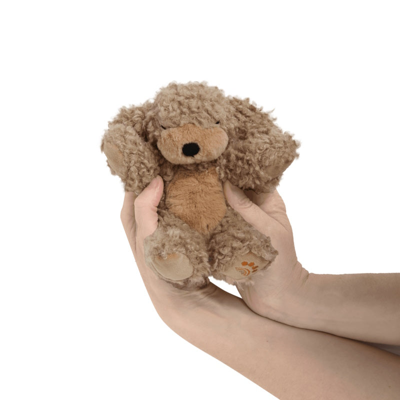 Olli Ella | Dinkum Puppy Benny at Milk Tooth Australia