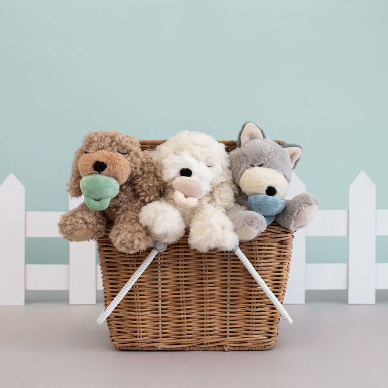 Olli Ella | Dinkum Puppy Benny at Milk Tooth Australia