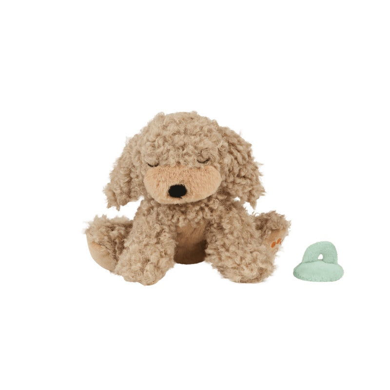 Olli Ella | Dinkum Puppy Benny at Milk Tooth Australia